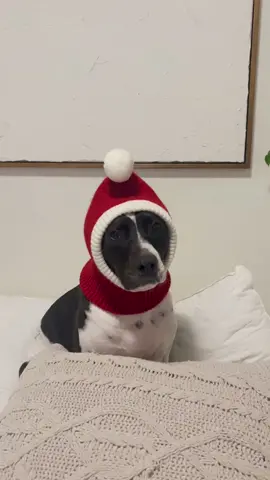 Tis the season 