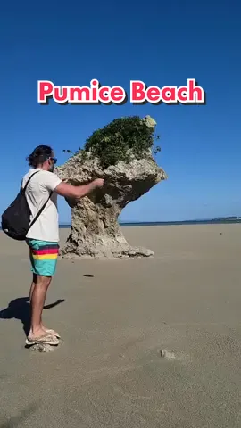 Replying to @chelseadawson88 Throw a rock, I guess 🤷‍♂️ 🪨 #pumice #volcano #okinawa #Japan #軽石 #浮石 #火山 #日本 #冒險 #驚人 #kylesthenix 