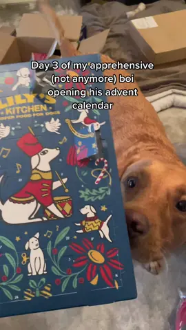 Yeah he loves them now 🥹 #adventcalendar #dog #dogsoftiktok #doggoadventcalendar #dogadventcalendar #fyp #viral #lilyskitchen #christmas 