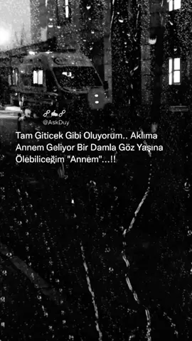 Kim Bilir Belki O Gün 
