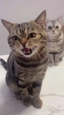 🥰