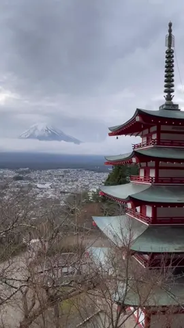 Mt. Fuji with five storied pagoda at Arakurayama Sengen Park🗻❤️ One of the best spots in Yamanashi prefecture to take a photo of Mt. Fuji!  🥳Follow us for more Japan contents!  #tokyo #japan #mtfuji #fuji #mountain #travel #trip #fyp #japantravel 