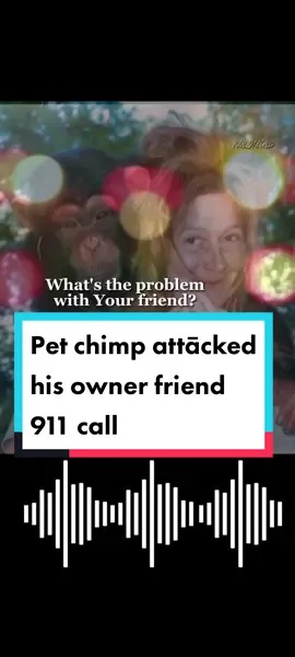 911 call Chimpanzee attack ##911 #911calls #911dispatcher #emergency #emergencycall #999 #999call #travischimpanze #911whatsyouremergency #911dispatch 