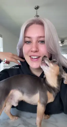 Thanks to almsot getting us to 800k followers ❤️ make sure to follow hermes instagram #viral #animals #dog 
