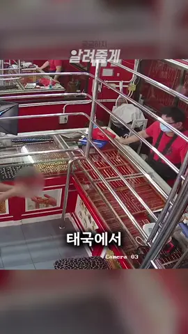 무장강도를 만난 강아지의 반응 #알려줄게 #반려견 #귀여움