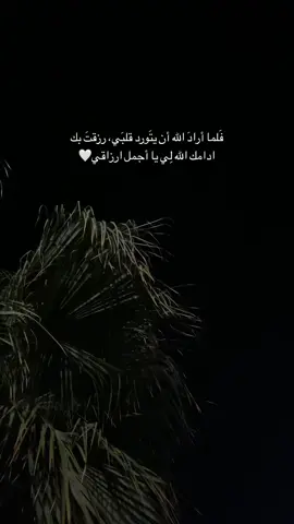 #اكسبلورexplore 