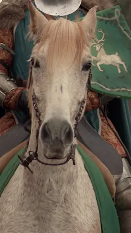 Meet the Dashing and Honourable White Knight! #1ForAllDND #dnd #dndtiktok #knight #fighter 🐴 @phillip_leitch 🪕 @forgeling