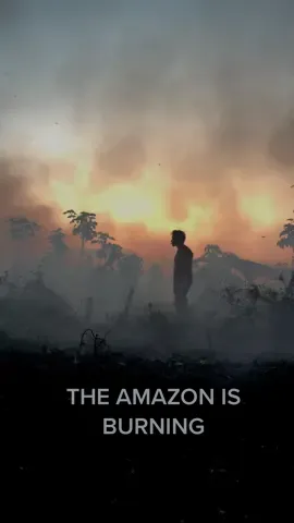Please help! I see this every year. Did you know that scientists are warning we might be reaching a tipping point where the Amazon  may not be able to sustain its own moisture cycle? That’s what happens when we allow this wholesale destruction for decades. We’ve lost almost 20% of the Amazon to date. 🔊 Please share so we can fix this! We have a plan and have already begun! If enough people come together we can protect the wildlife and the forest and create sustainable jobs for loggers and miners so that this kind of destruction isn’t necessary. We cannot keep burning our greatest biological treasure. 