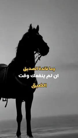 #اكسبلورexplore 