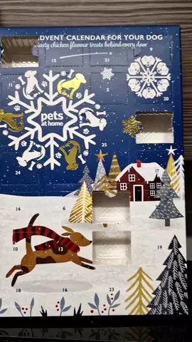 @Pets at Home #adventcalendar #doggyadventcalendar #luckypups #petsathome #petsathomeuk #sausagedog #sausagedogcentral #dachshund #dachshundsoftiktok #sausagedogsoftiktok #dachshundaddict 