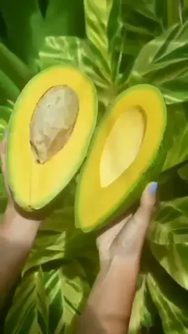 Avocadolicious 🥑🥑🥑🥑 #yummy #freshfruit #sweetfruit #satisfying 