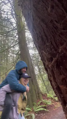 It worked better in my head #twilight #spidermonkey #washington 