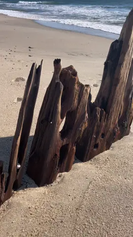 🏴‍☠️ Erosion along the south shore has exposed what appears to be the remains of an old wooden ship. Island resident Matt Palka was walking the south shore over the weekend when he came upon the wood sticking up out of the sand. “I saw this and was thinking it was something out of the ordinary,” Palka said. “You can tell it's old because of the wood, the workmanship and iron on those beams. Pretty incredible.” The town has notified the Massachusetts Historical Commission about the find, but little else is known about the wreck at this time. Nantucket Shipwreck and Lifesaving Museum executive director Carlisle Barron Jensen said one of her staff members - Egan's director of education and public programs Evan Schwanfelder - has been discussing the wreck with Nantucket Harbormaster Sheila Lucey over the weekend. 