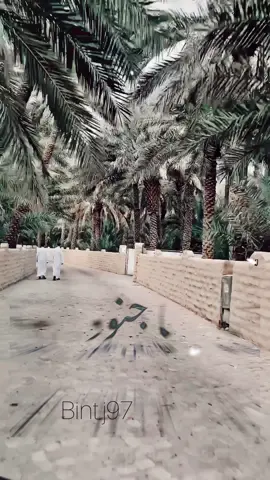 ياجنود البيض والخضرى عود مالي ياربى داري قال انت منين ما ندري وين لافى ييت من خارى يا جتيل الشوق والصبري صون مالك واطلب الباري رحت جني شاربٍ خمري لا نديم ولا من يداري #اكسبلور #تصميمي #فولو #اكسبلورexplore #لايك #ذوق #مزاج #تراث #اكسبلو_تيكتوك #قديمك_نديمك #قديم #ميحد_حمد #شفت_ريم_اخضر_خشف_خفري #ميحد_حمد_الفنان_الاماراتي_الاول 