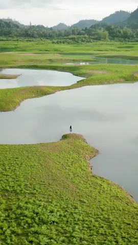 The Beauty of Tendetung Lake  Terletak di Banggai Kepulauan, Danau Tendetung memiliki banyak keindahan dan keunikan tersembunyi yang menjadi ciri khas dari danau ini. Danau yang berada pada ketinggian kurang lebih 72 Mdpl dengan panjang kurang lebih 2,5 Km ini memiliki musim dimana setiap musim hujan airnya akan surut dan saat datang musim panas airnya akan pasang. Saat surut, danau ini berbentuk seperti lembah dan nampak kelokan (meander) yang biasa disebut masyarakat setempat dengan nama 101 Kelokan. Benar-benar surga tersembunyi yang menabjubkan. Shoot with @dji.era @djiglobal  Partner collab @anakpulo_  💃🏽🍃 Starring @vanytjan  #wonderfulindonesia #banggaikepulauan #danautendetung #pesonaindonesia #banggai #fyp 