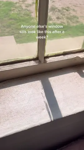 These window sills will be the death of me #CleanTok #cleaningvideos #cleaning #clean #window #dirty #dirt #desert #militaryhousing 