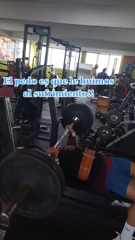 Y recuerda para repeticiones está el gimnasio no tu ex 🍃 #gym #gymrat  #gymmotivation 
