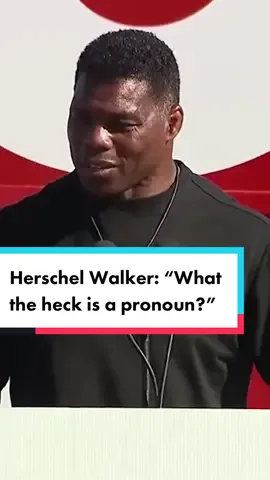Herschel Walker (he/him) will not be the next senator of Georgia #fyp #news #politics #political #herschelwalker #raphaelwarnock #georgiarunoff #election #senate #midterms2022 #midtermelections2022 #pronouns 
