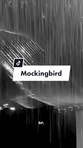😞♥️ #mockingbird #eminem #sadmusic #minimalist #aesthetic #fyp 