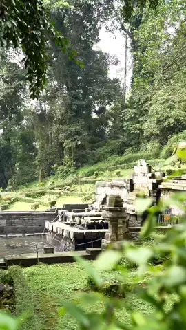 Candi Jolotundo in Mojokerto is a sacred place to heal and cleanse their souls located near Bobocabin Padusan Mojokerto #candijolotundo #jolotundo #mojokerto #bobocabin #bobocabinpadusan #padusan 