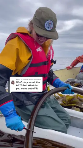 Replying to @junimel1805 response video #2 because we just had to share the kelp pickle process ✨🌊👏 turning kelp into foods to share with your friends and fam 💗 #barnaclefoods #kelp #bullwipkelp #kelppickles #alaskamade #holiday #bestgift #fypシ 