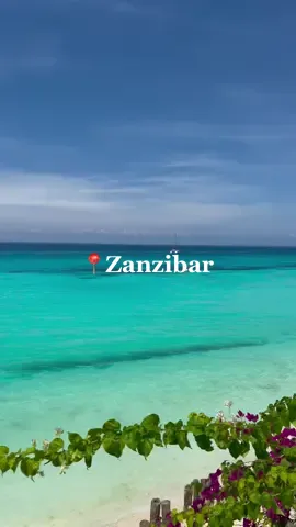 Paradise 🌴🥥☀️🌊🇹🇿 #zanzibar #tanzania #vacation #fy #fyp #fypシ #riuhotels #riupalacezanzibar #fypage #fypage #fypシ゚viral #fyy #traveltiktok #viral #viralvideo #travel #bestlife #traveltiktok #travel #viral #viral #viral #tiktok #africa #vactionmode @RIU Hotels & Resorts #fyp #beautyfuldestination #travellife #hakunamatata #jambo 