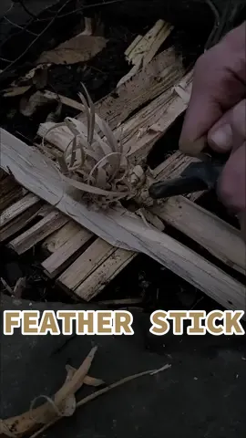 Replying to @bellaanncosgrove Starting a fire with a feather stick #fyp #foryou #bushcraft #survival #Outdoors #camping #selfreliance 