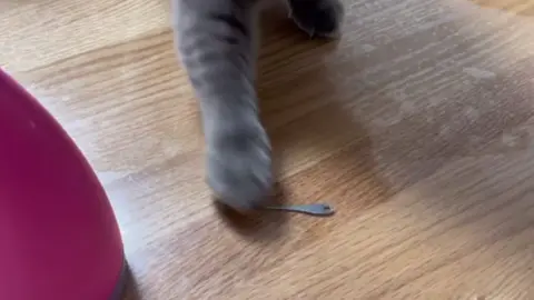 🥺