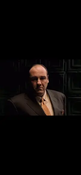 Tony Soprano #thesopranos #tonysoprano #edit #tvseries #fyp #foryoupage #mafia 