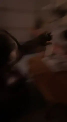 #cat #funny #funnycat #funnyvideo  #funnycatvideo #catfail #catsoftiktok #pet #PetsOfTikTok #catlover #fyp 