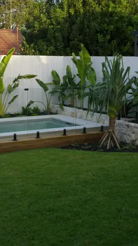 Your own backyard oasis. An escape from the mundane, a retreat from reality—every day. . Landscaping by @blueskylandscaping_ . Plants by @urbannurseries Pandanus by @bamboosouthcoast . Pool by @narellan_pools . Pool Fence by @glazedco.sydney . Proud Gold Sponsor of @the_landscape_association . #poolfencing #sydneyhomes #sydneylandscapes #gardendesign #gardengoals #gardenideas #plantingdesign #landscapedesign #poolfence #glassfence #glasspoolfence #framelessglass #sydneypools #backyarddesign #backyardresort 