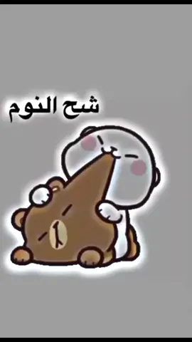 شح النووم 🧸🤭✨#حلوشه🧸 #امدبدوب🧸🤎 #كيوت🧸😭 #chokolah #fyp 
