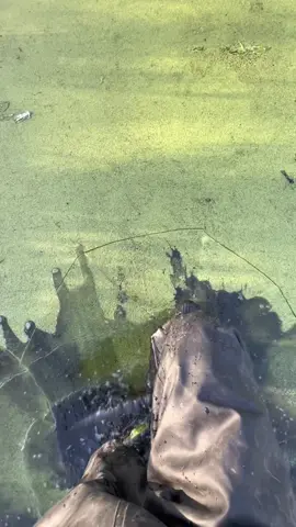 Be sure to take care around ponds and lakes while they are frozen! You could still fall through even when the ice is thick and trust me when I say the water is very cold indeed. #pond #lake #management #maintenance #aquatics #ice #frozen #besafe #therapy #theraputic #tranquil #satisfying #icebreaker #duckweed #asmrtiktok  