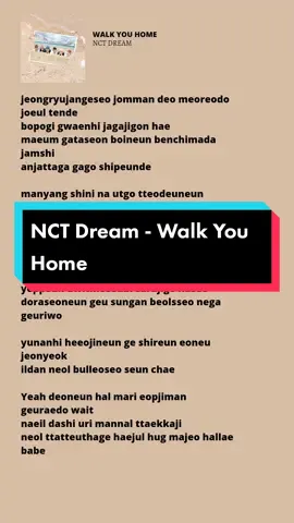 Membalas @na_nana0111 #kpopsong #lirik #nctdream 