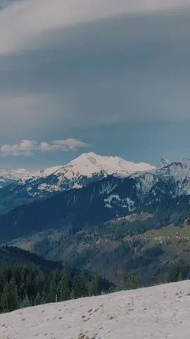 “Leave the road, take the trails.” Happy hiking weekend everyone ! 🙂❄️🏔️ #swissalps #switzerland #switzerlandnature #winter #winterhiking #puremountain #winterwonderland #myswitzerland #naturevideography #naturevideocreator #winteraesthetic #outdoorlife #naturetiktok #snowshoeing #snowshoeingadventures 