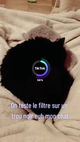 Test de l'AI Manga sur un trou noir.  #chatnoir #blackcat