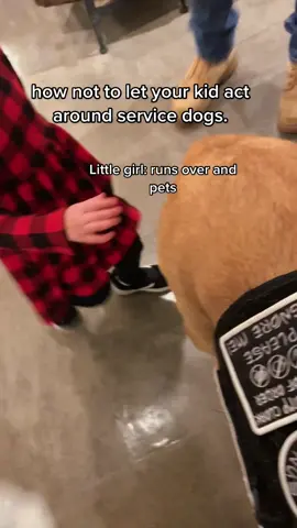 Really glad I caught both of these interactions on camera last night! There a great example of how I handle things and what not to do, and what to do around service dogs❤️ #servicedog #serviceanimal #fyp #foryou #dog #disabled 