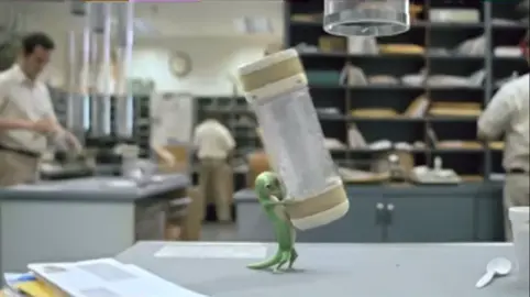 Geico #geico #geicogecko #ohgreatheavens #funnymemes 