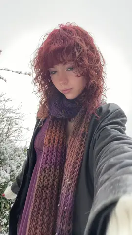 winter wonderland