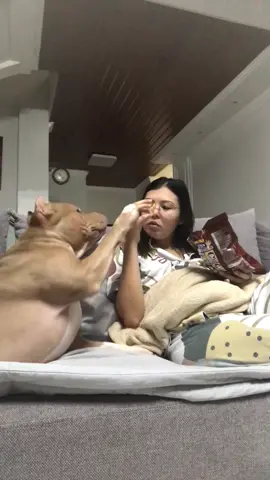 This is how he behave when his momma eating! Always 🤦‍♀️ #dog #doglife #dogmom #life 