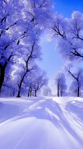 💜💙#scenery #view #nature #winter #beauty #snow 