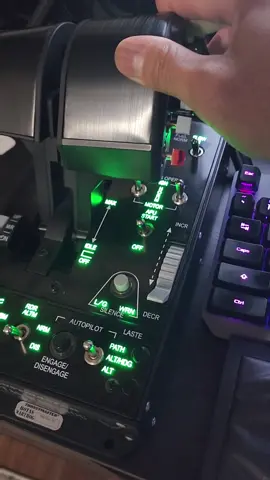 #ASMR #Thrustmaster #HOTAS Warthog #StarCitizen #Gamer #Gaming 