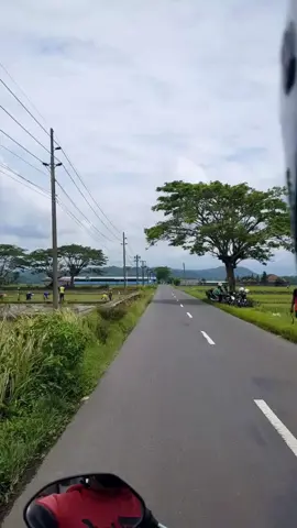Suasana Jalan area persawahan di Desa Margasana - Jatilawang