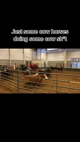 #greenscreenvideo #greenscreen #peppysanbadger #cowhorse #horsesoftiktok #horsesontiktok #cattle #fyp #sorting #cowsorting #cows #equestrian #western #horsegirl #willow #quarterhorse #cowsoftiktok #fypシ #horses #horsetok #sortingclinic 