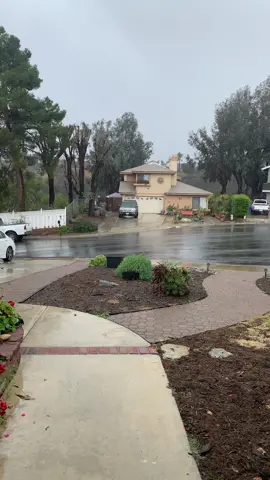 why do people say southern Californians don’t know what to do when it rains? #foryou 