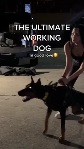 All of the people that underestimate me just keep me going tbh😅😂 also the amount of comments I get just bc im a female handler is INSANE! Tbh im just used to it by now🤷🏻‍♀️ #doberman #dog #personalprotectiondog #dobermantraining 
