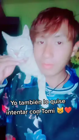 #tomi #manga #humor #dúo #mrbeastchallenge #tendencia #sigueme_para_mas_videos_asi #parati #sigueme_y_te_sigo #tendenciatiktok 