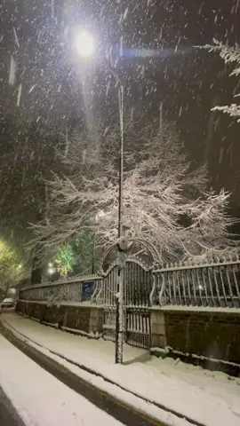 Snow ❄️#fyp #foryou #fun #tiktok #tikt 