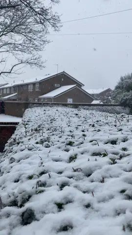 #snow #birmingham #uk #foryou #viral 