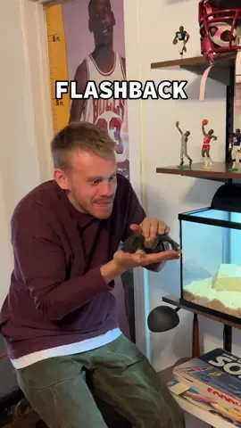 Kevin and the tarantula had some good times 😱